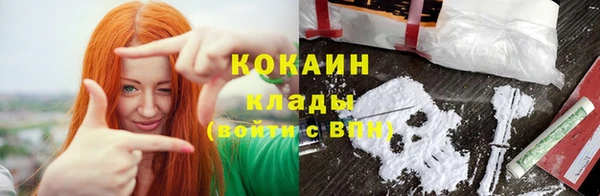 mdpv Новозыбков