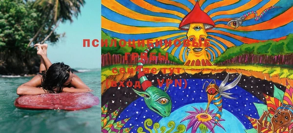 прущие крисы Нея
