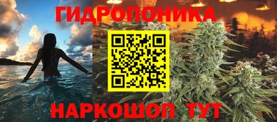 гашик Заволжье
