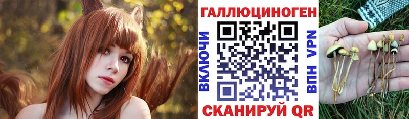 Псилоцибиновые грибы прущие грибы  Кимовск 