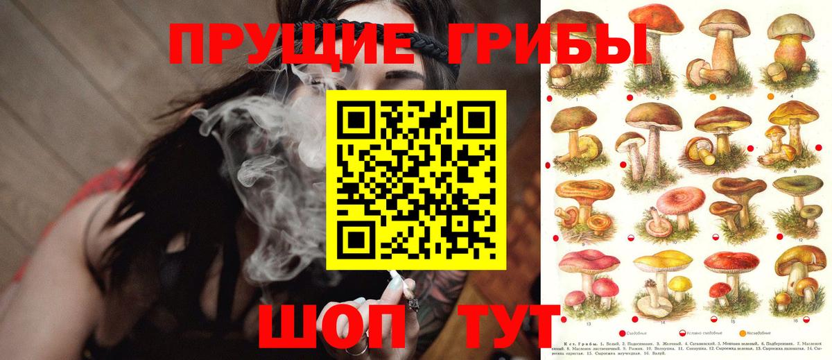 Псилоцибиновые грибы GOLDEN TEACHER  Вход с VPN  Псилоцибиновые грибы Magic Shrooms  Кимовск 